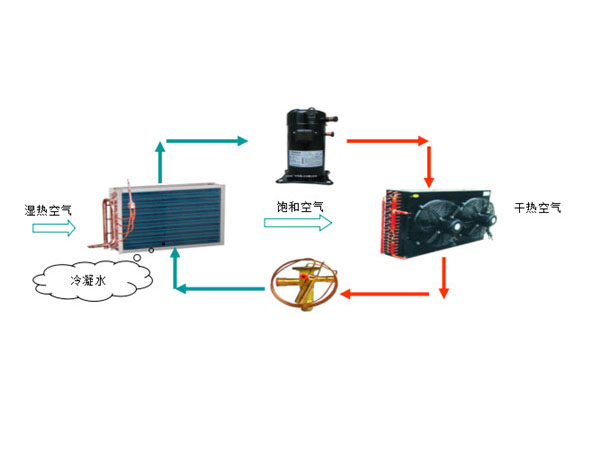 1612422528530895.jpg 圖片1.jpg